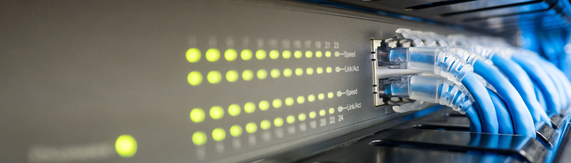 Specialists for contracts with IT service providers